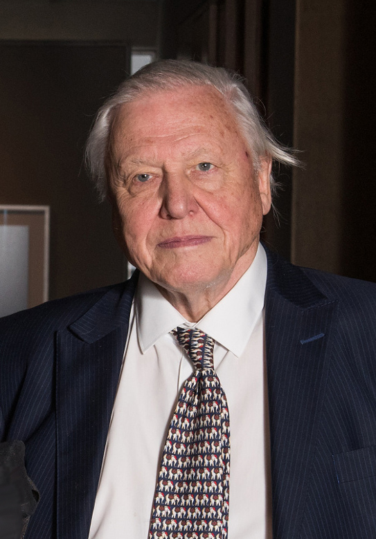 David Attenborough